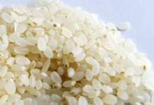 胚芽米黄河口生态大米